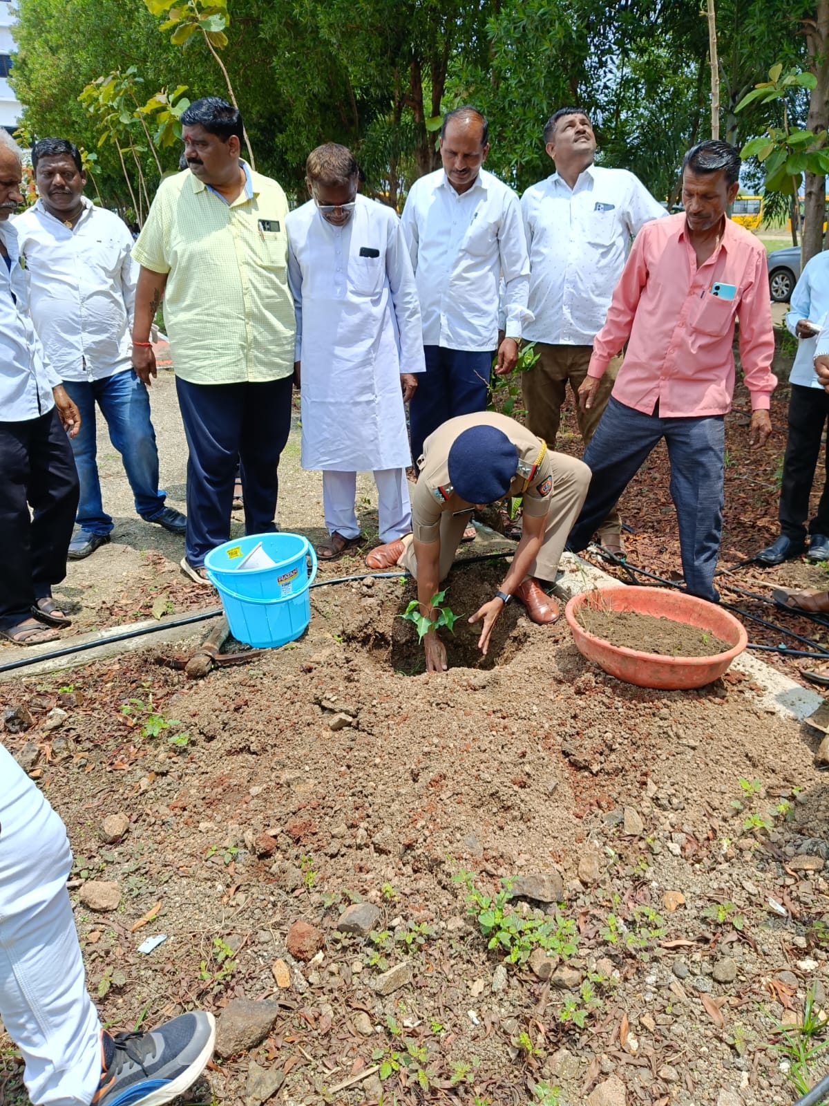 Tree Planting Events